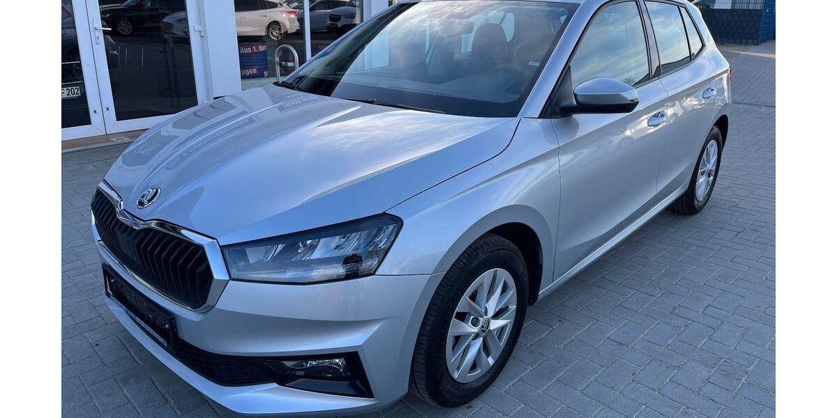 Skoda Fabia 14.886 km 15.990 &euro; Tessin 18195