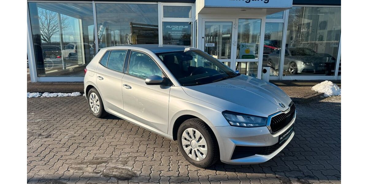 Skoda Fabia 24.115 km 16.990 &euro; Ribnitz-Damgarten 18311