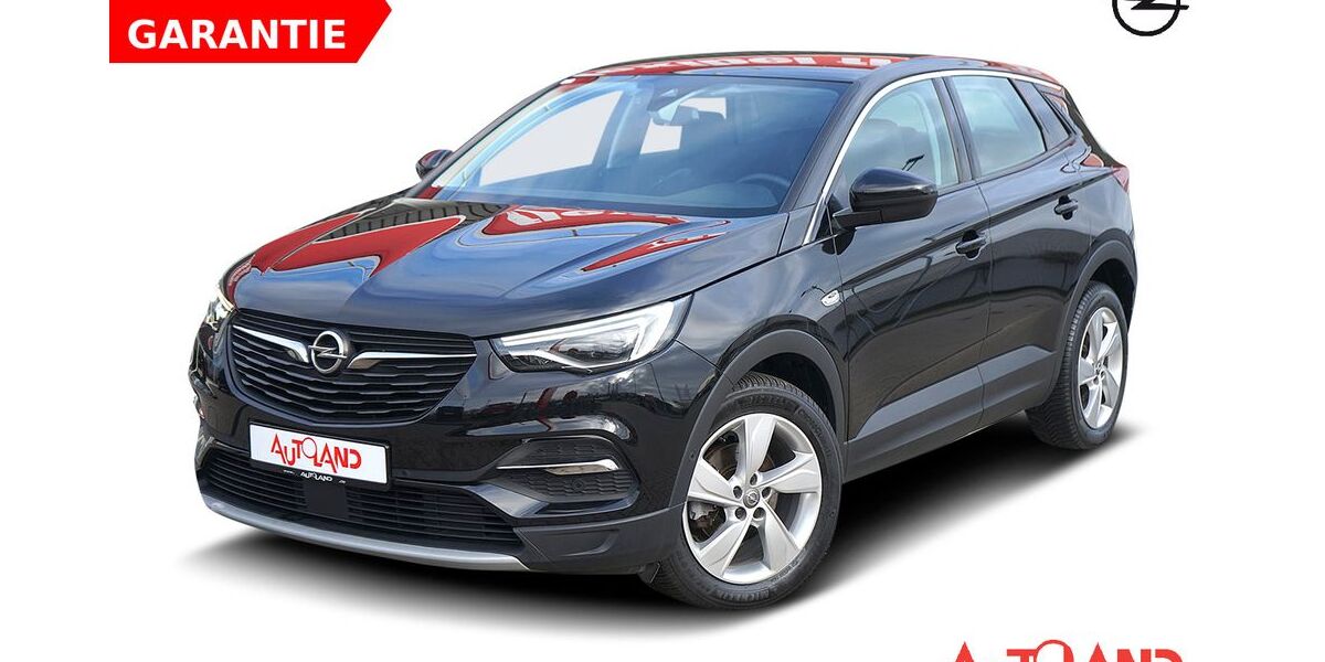 Opel Grandland (X) 86.073 km 17.990 &euro; Rostock 18146