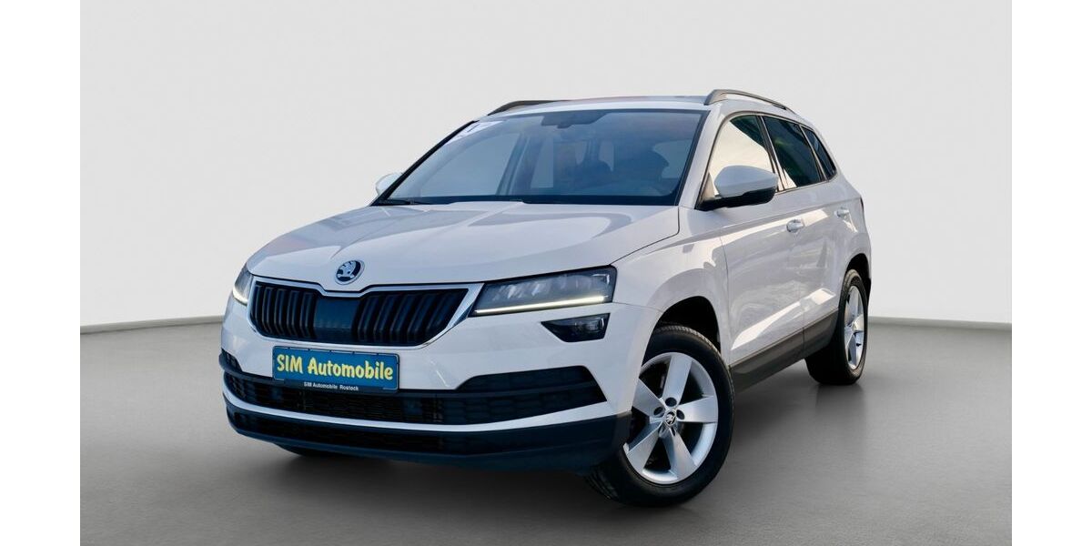 Skoda Karoq 125.000 km 20.990 &euro; Rostock 18146