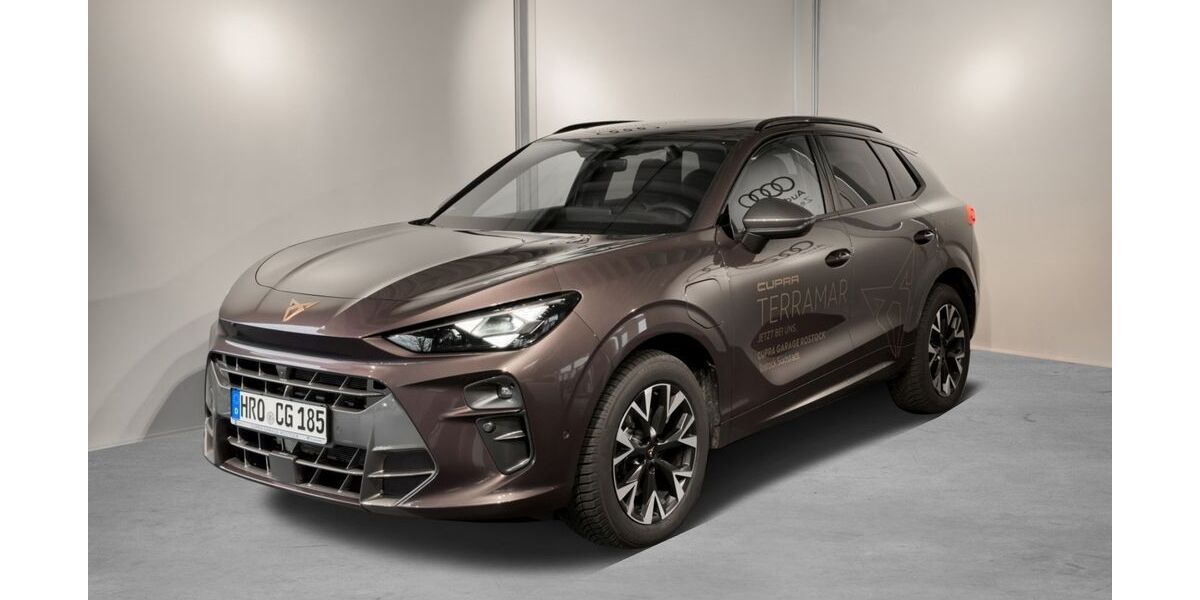 Cupra Terramar 21.372 km 38.990 &euro; Rostock 18059