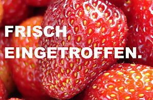 VW T5 California 183.242 km 24.999 &euro; Bad Doberan 18209