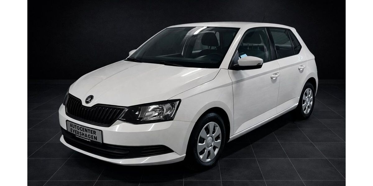 Skoda Fabia 118.000 km 6.999 &euro; Rostock 18106
