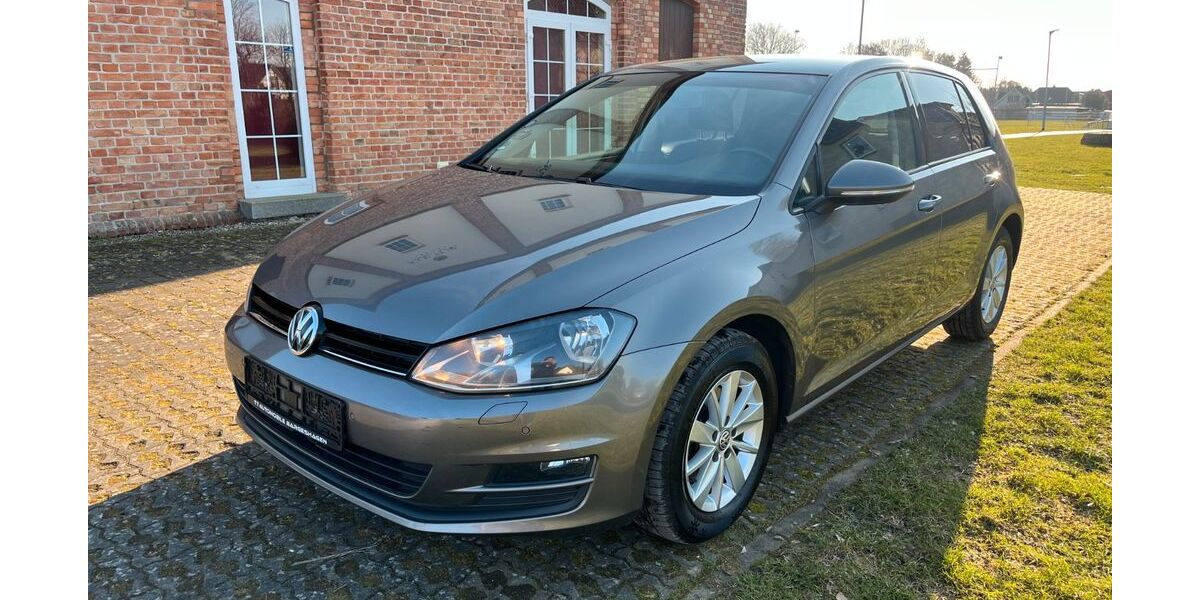VW Golf 173.000 km 6.999 &euro; Bargeshagen 18211