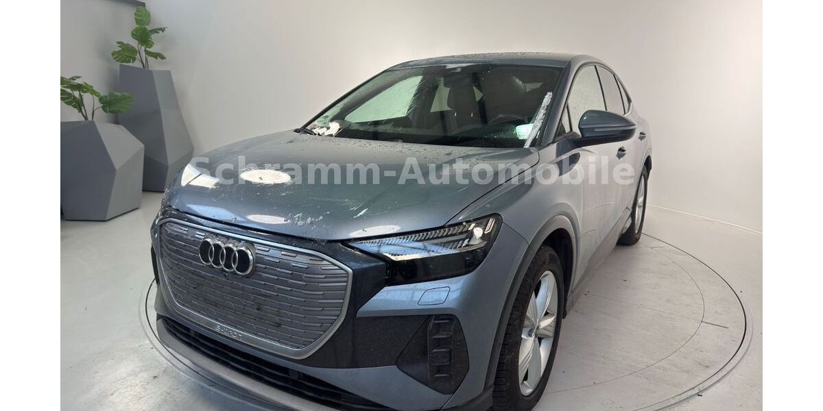 Audi Q4 161.000 km 26.890 &euro; Rostock 18069