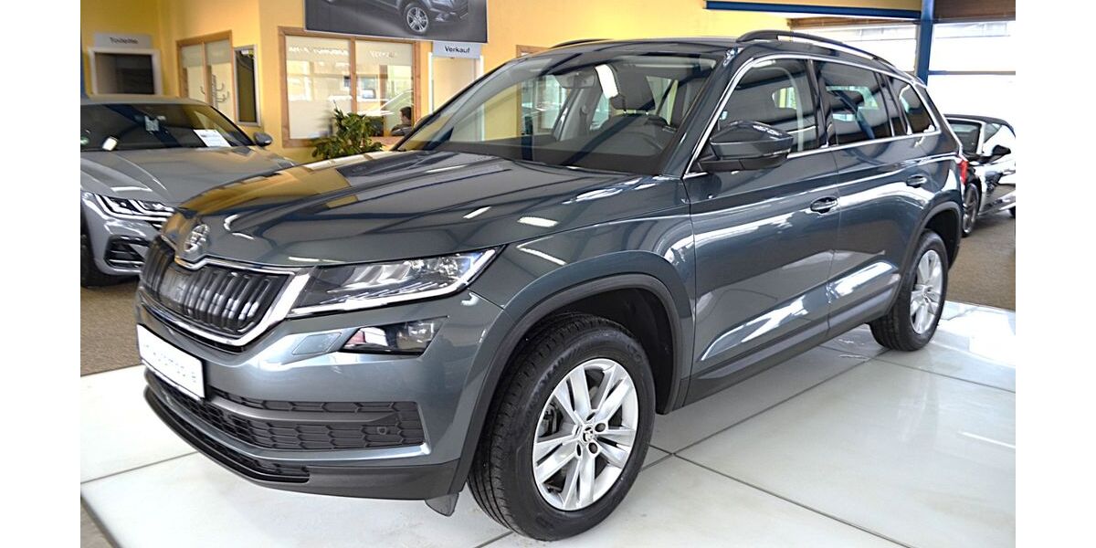Skoda Kodiaq 100.000 km 27.880 &euro; Bad Doberan 18209