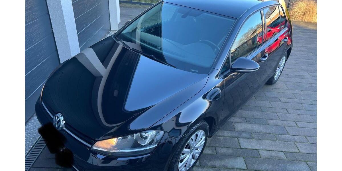 VW Golf 80.000 km 12.333 &euro; Selpin 18195